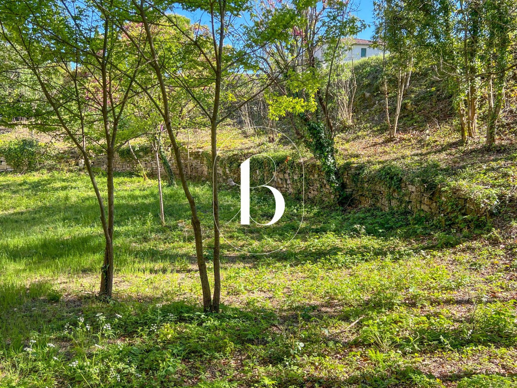 vente Demeure de ville et village Barjac