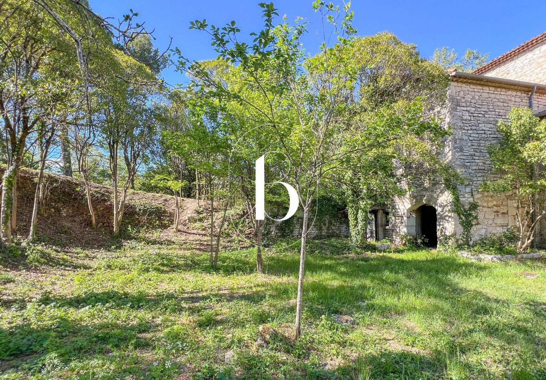 vente Demeure de ville et village Barjac