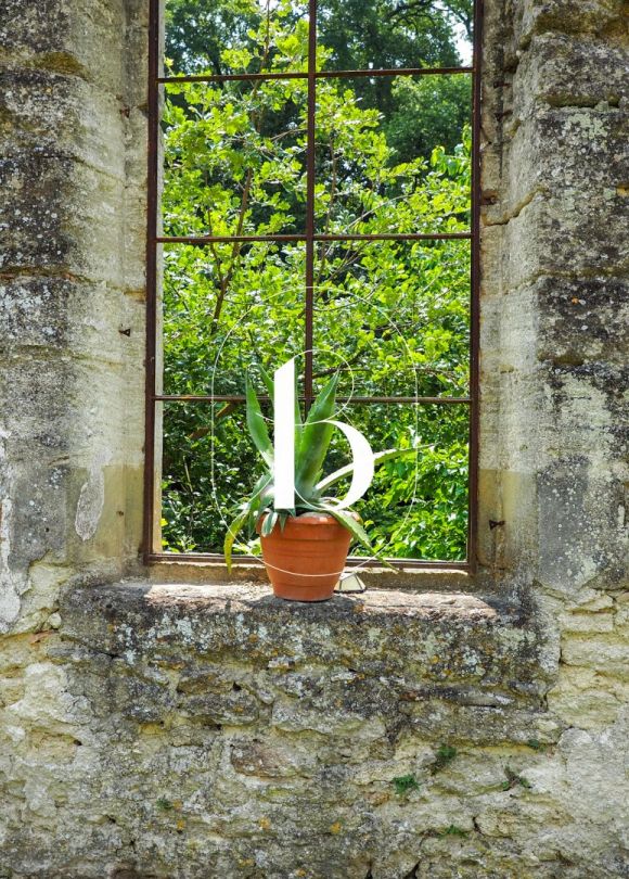 vente Château Uzes