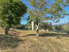 vente Terrain Barjac