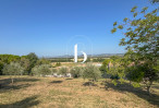 vente Terrain Barjac