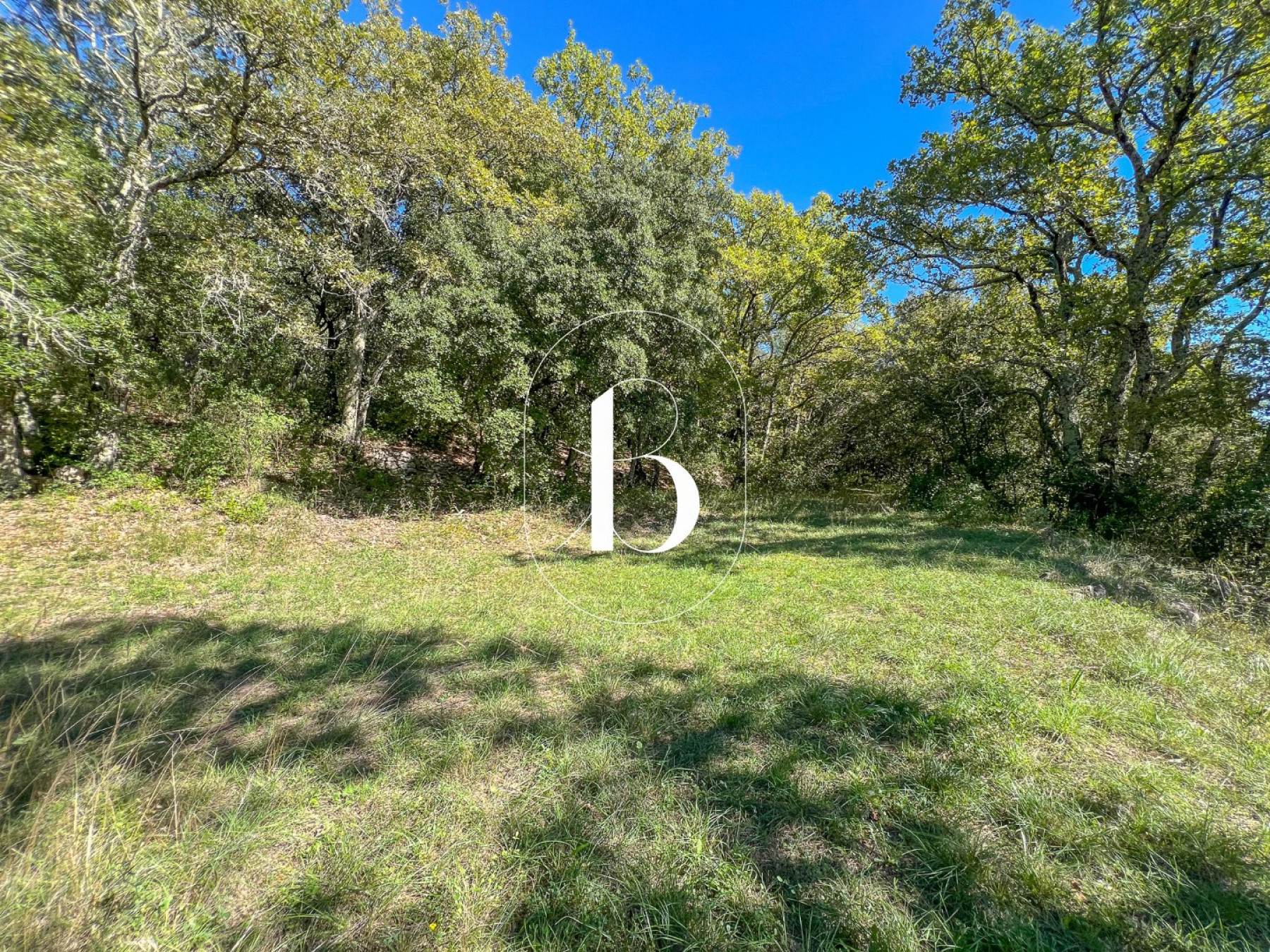 vente Villa Cornillon