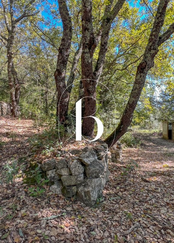 vente Villa Cornillon