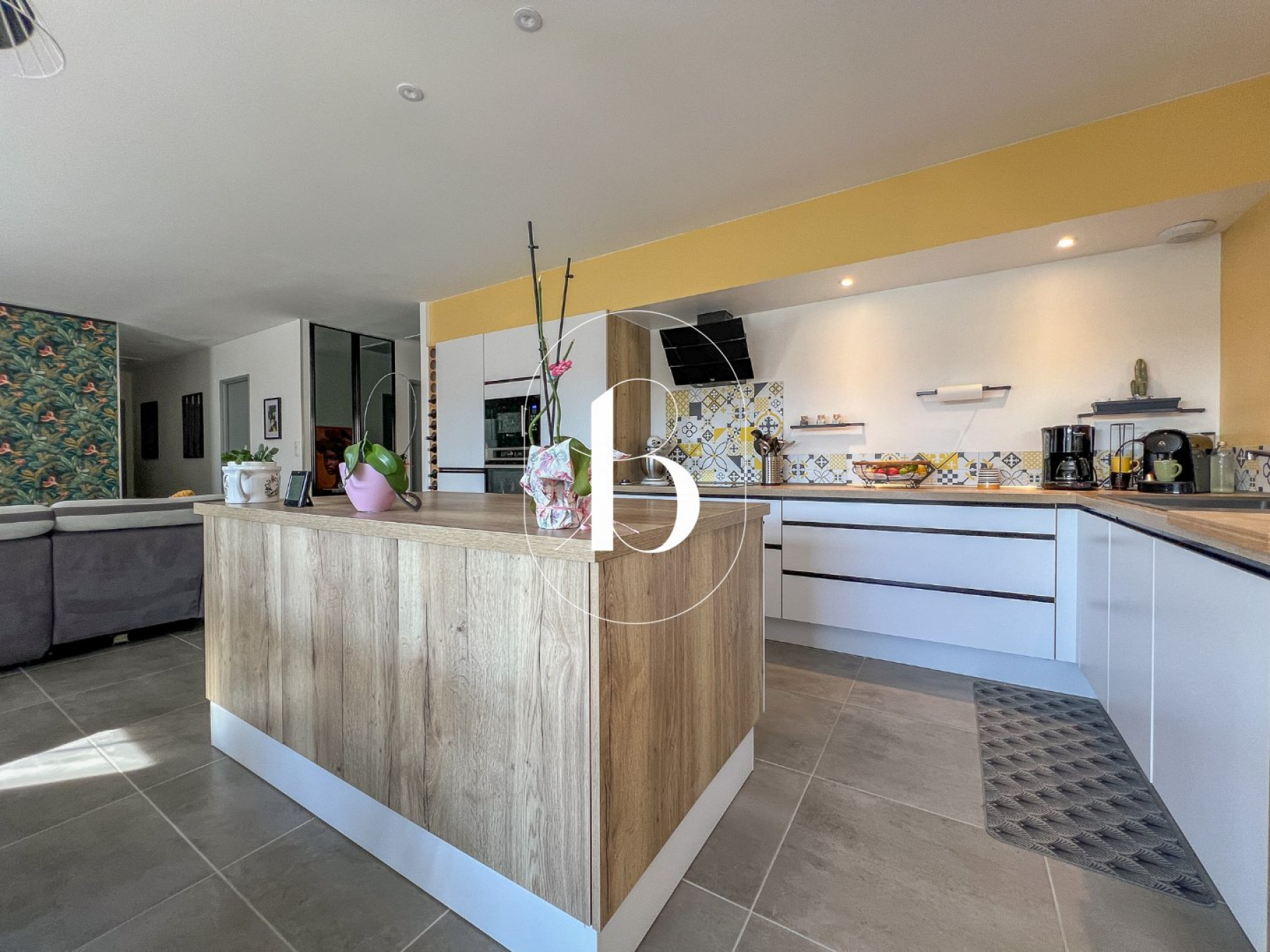 vente Villa Saint Paulet De Caisson