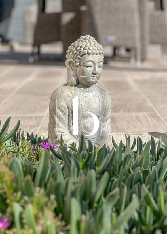 vente Villa Saint Paulet De Caisson