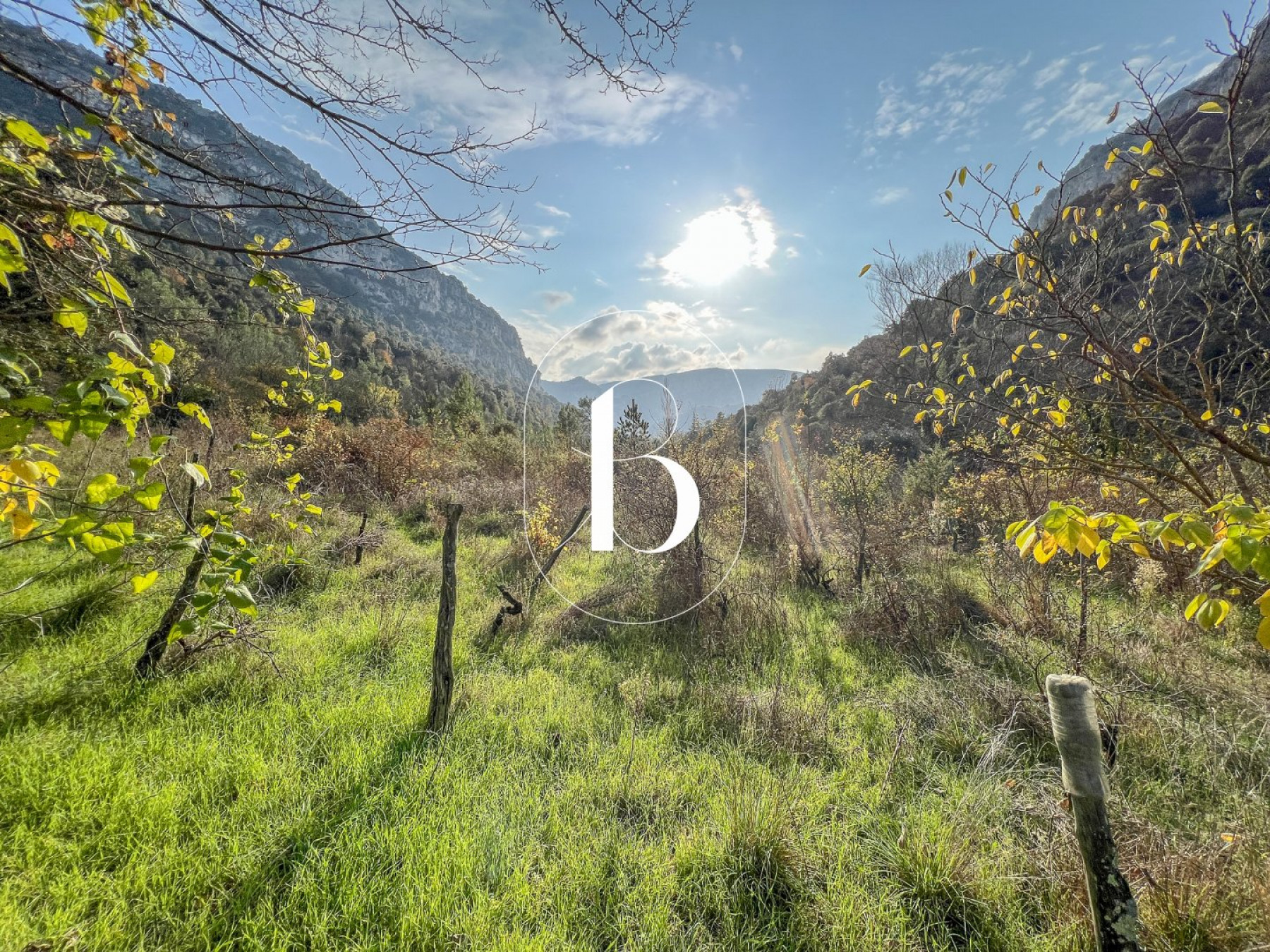 vente Mas Vallon Pont D'arc