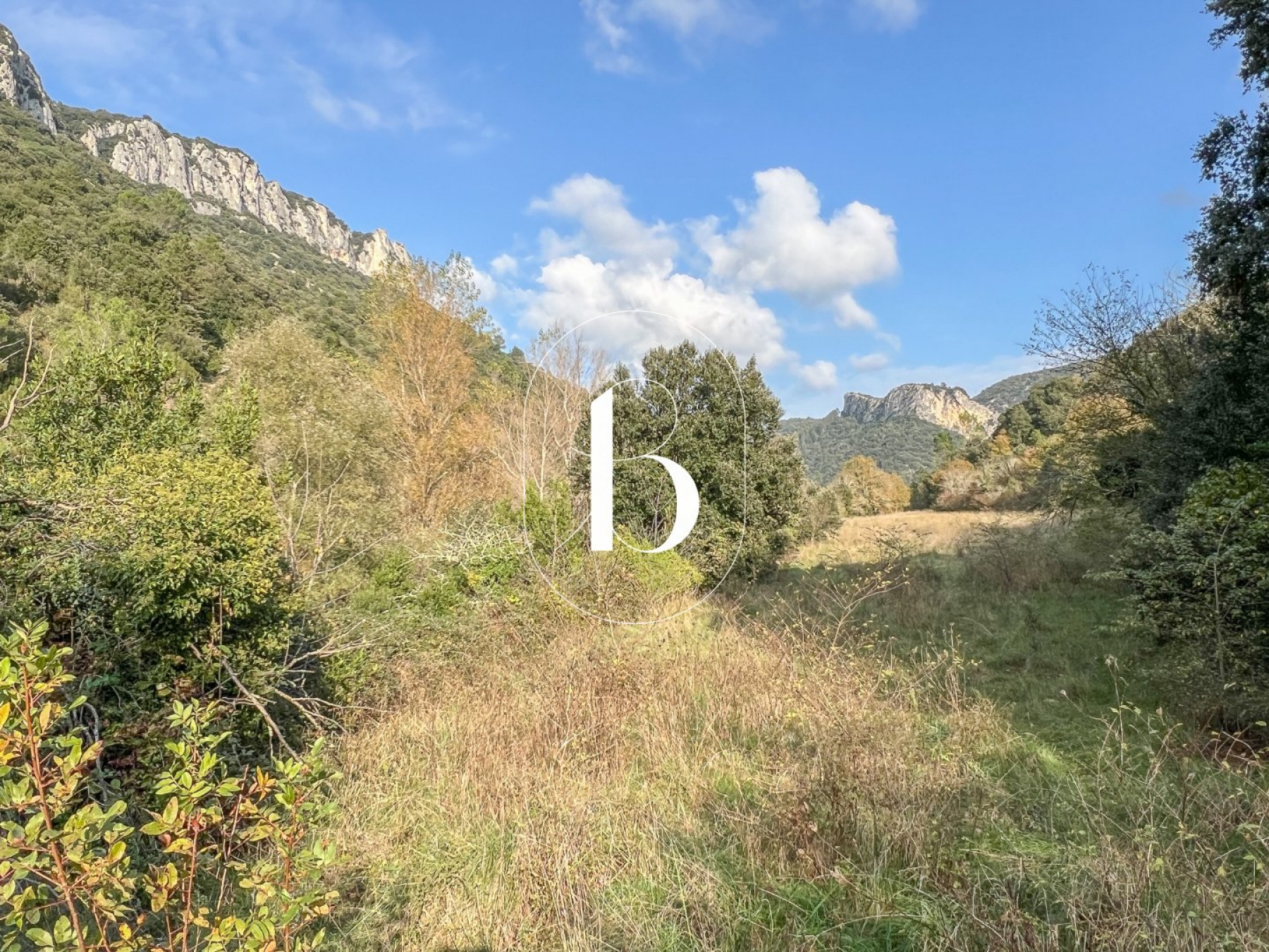 vente Mas Vallon Pont D'arc