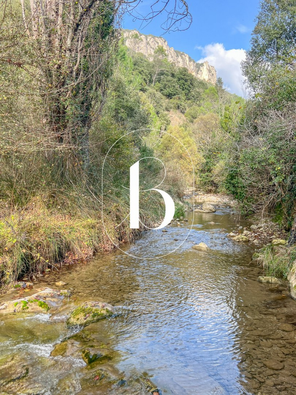 vente Mas Vallon Pont D'arc