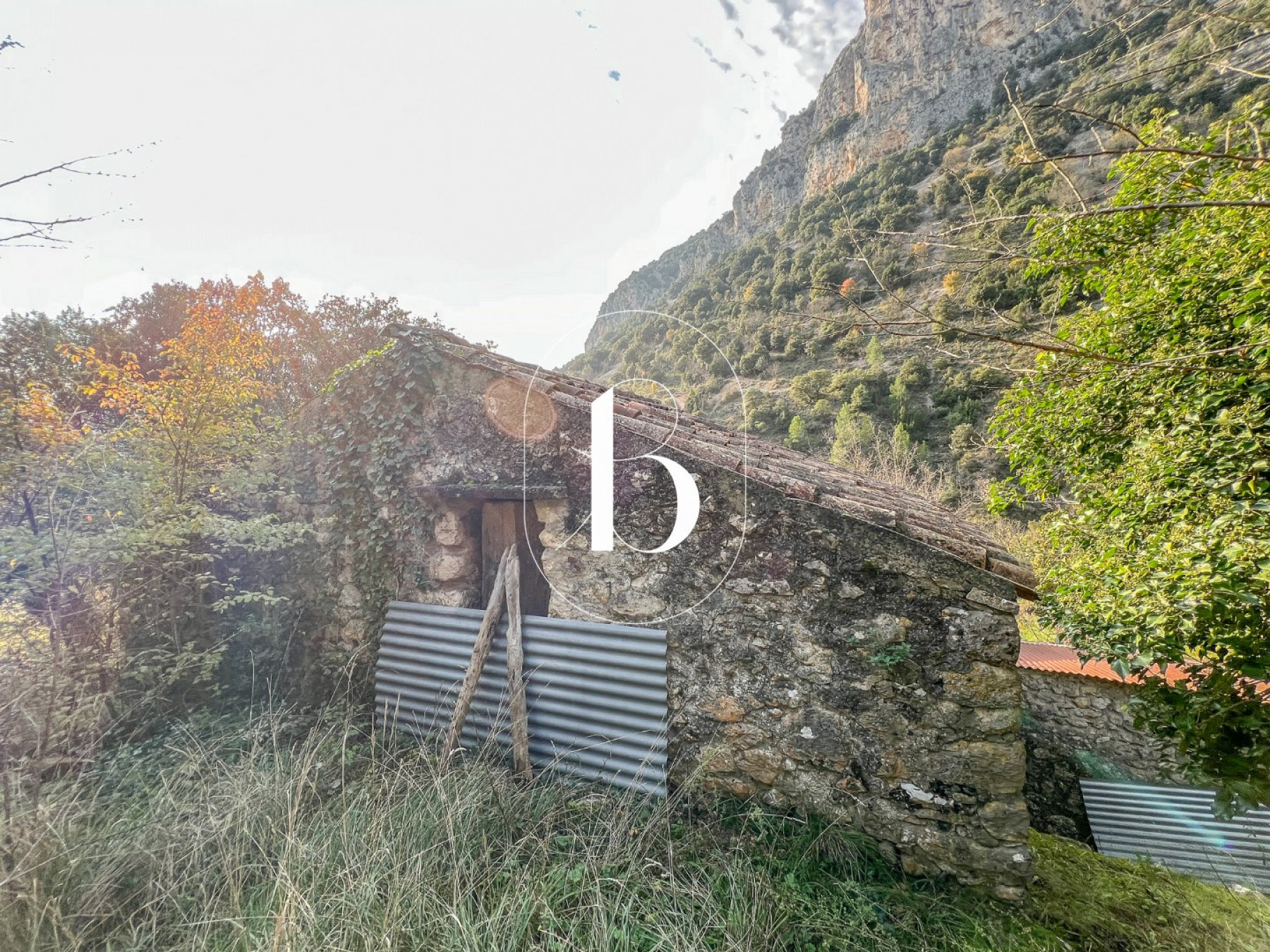 vente Mas Vallon Pont D'arc