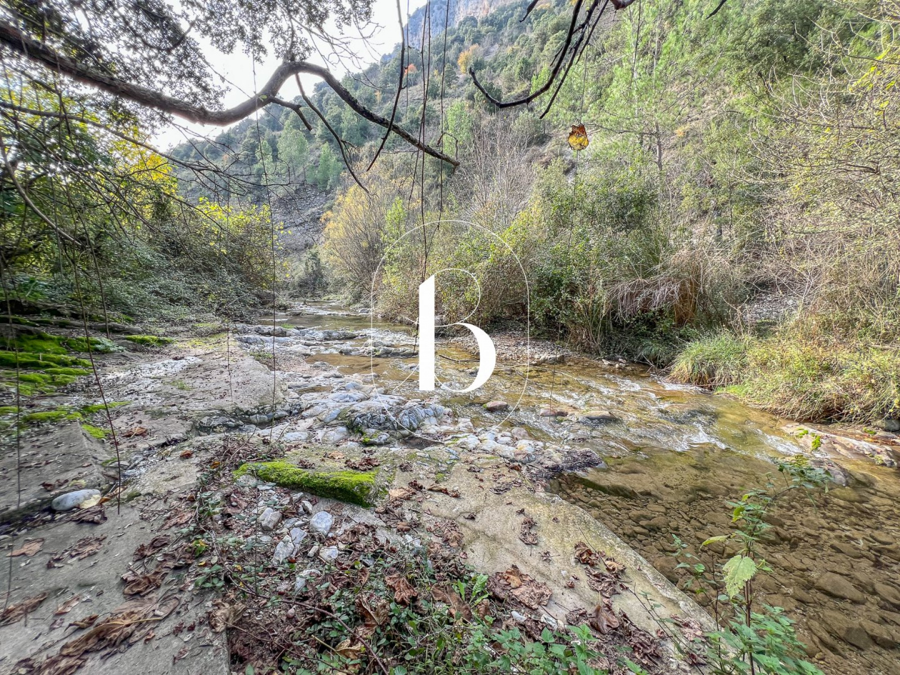 vente Mas Vallon Pont D'arc