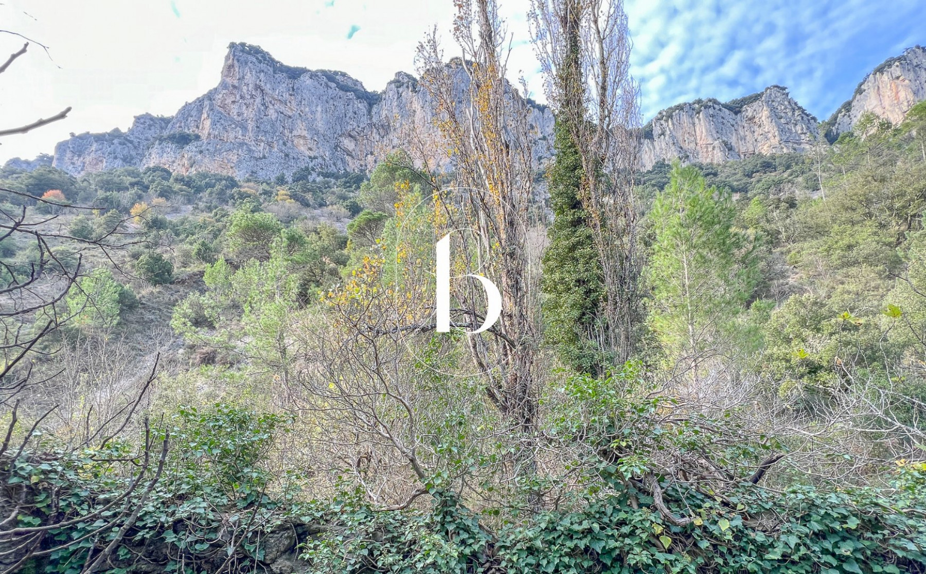 vente Mas Vallon Pont D'arc