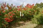 sale Villa Barjac
