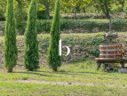 sale Mas Saint Paulet De Caisson