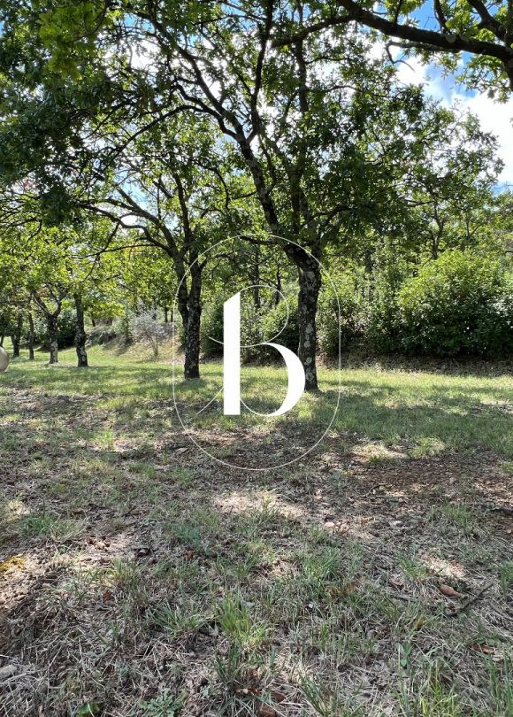 vente Mas Saint Paulet De Caisson