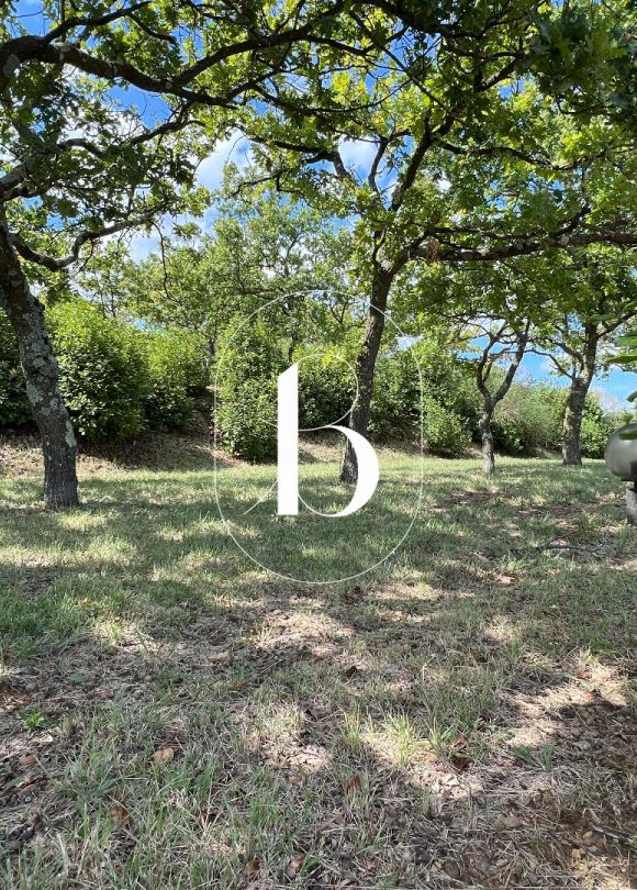 vente Mas Saint Paulet De Caisson