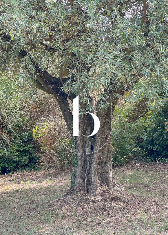 vente Mas Saint Paulet De Caisson