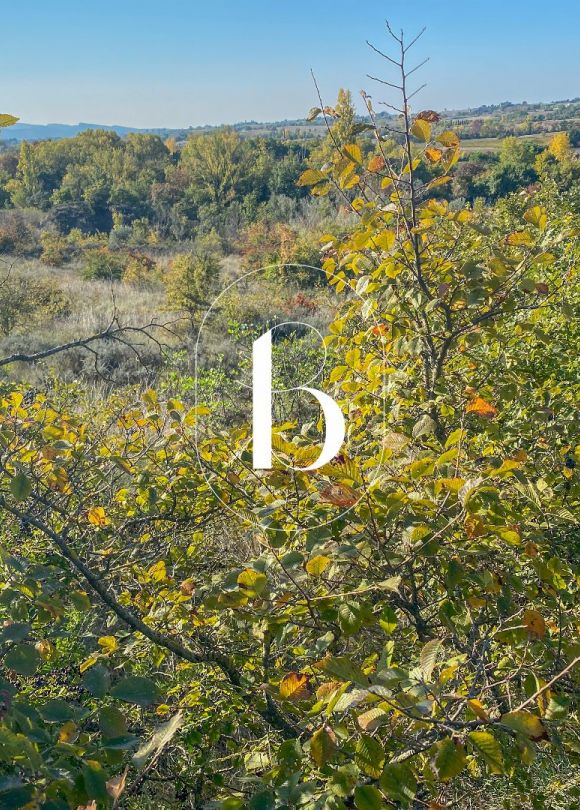 vente Maison contemporaine Saint Sauveur De Cruzieres
