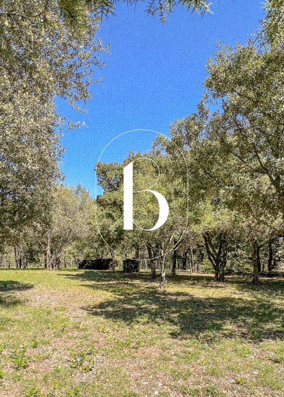 vente  Orgnac L'aven