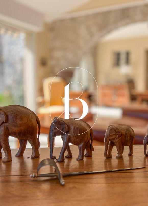 vente Mas Vallon Pont D'arc