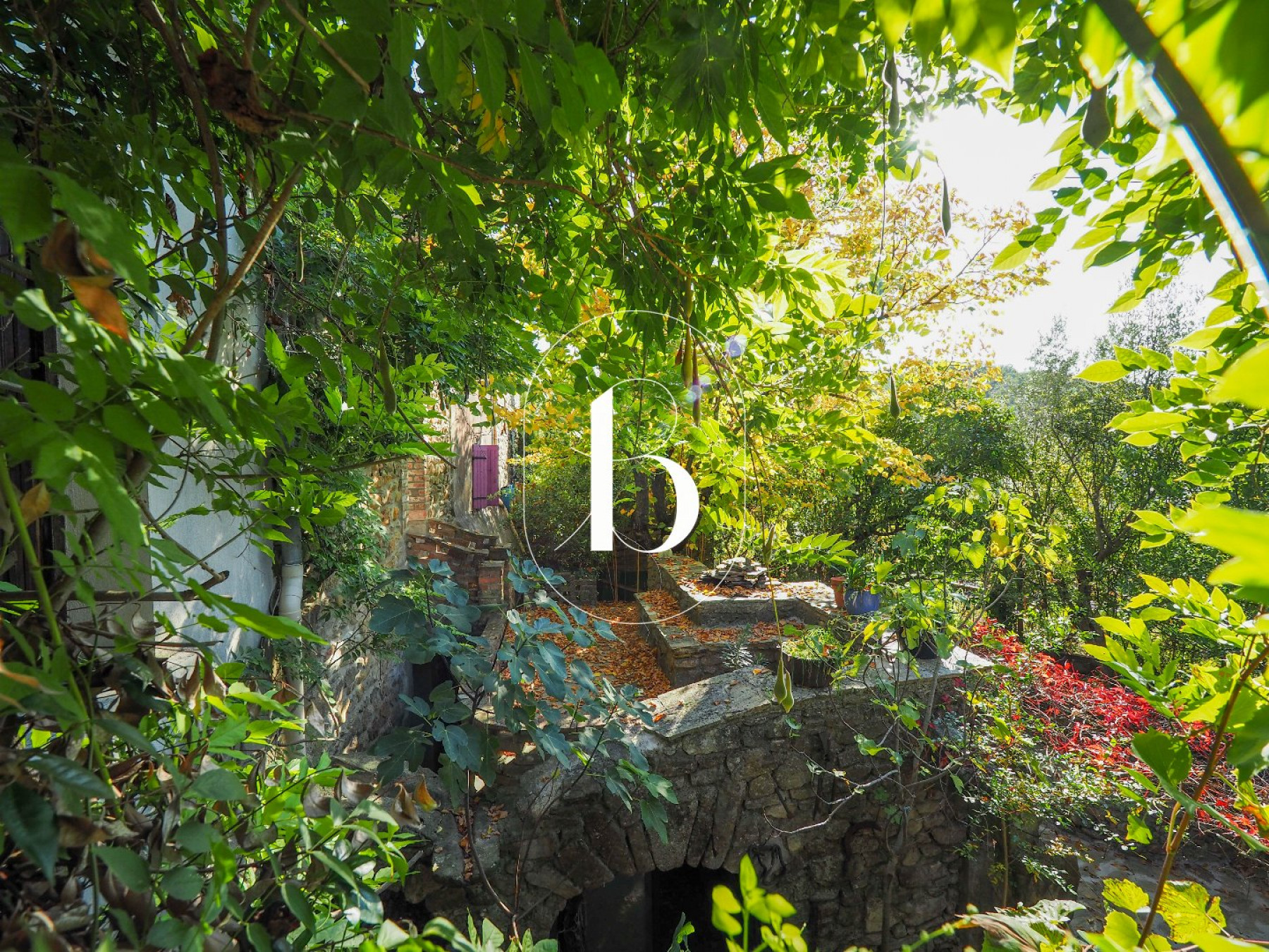 vente Mas Saint Ambroix