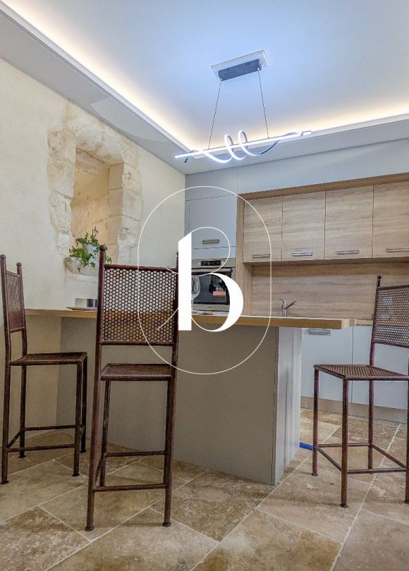 vente Maison de village Barjac