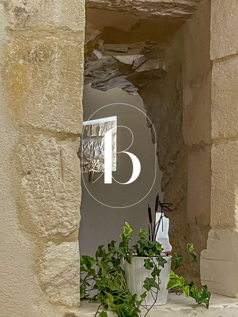 vente Maison de village Barjac