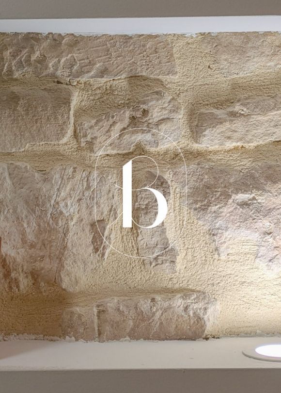 vente Maison de village Barjac