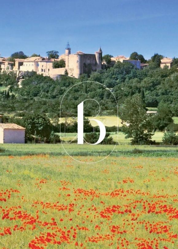 vente Maison de village Lussan
