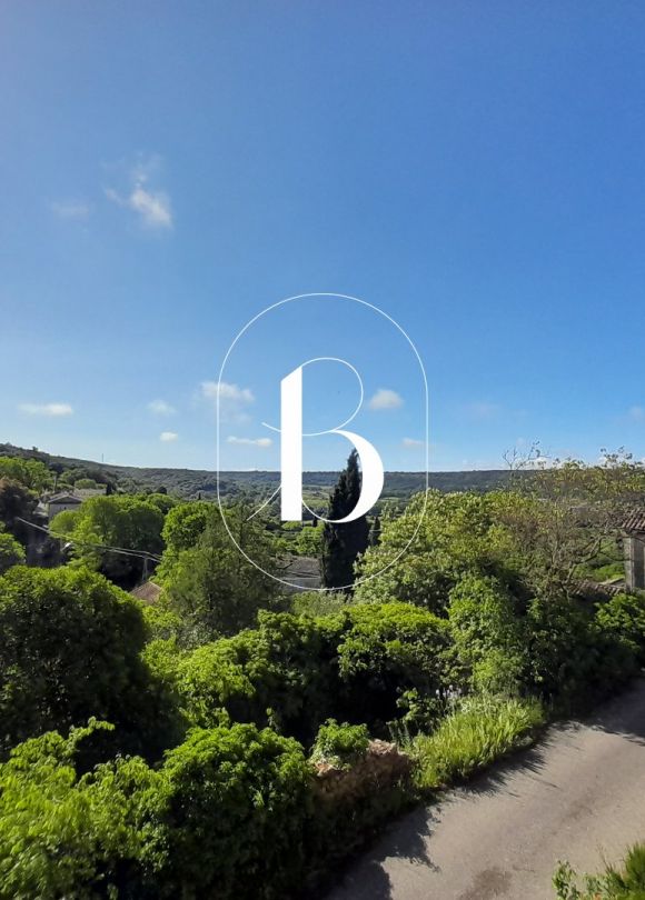 vente Maison de village Lussan