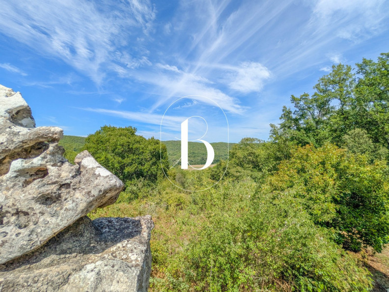 vente Maison contemporaine Barjac - Photo 5