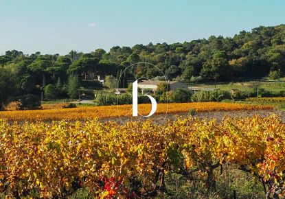 vente Villa Goudargues