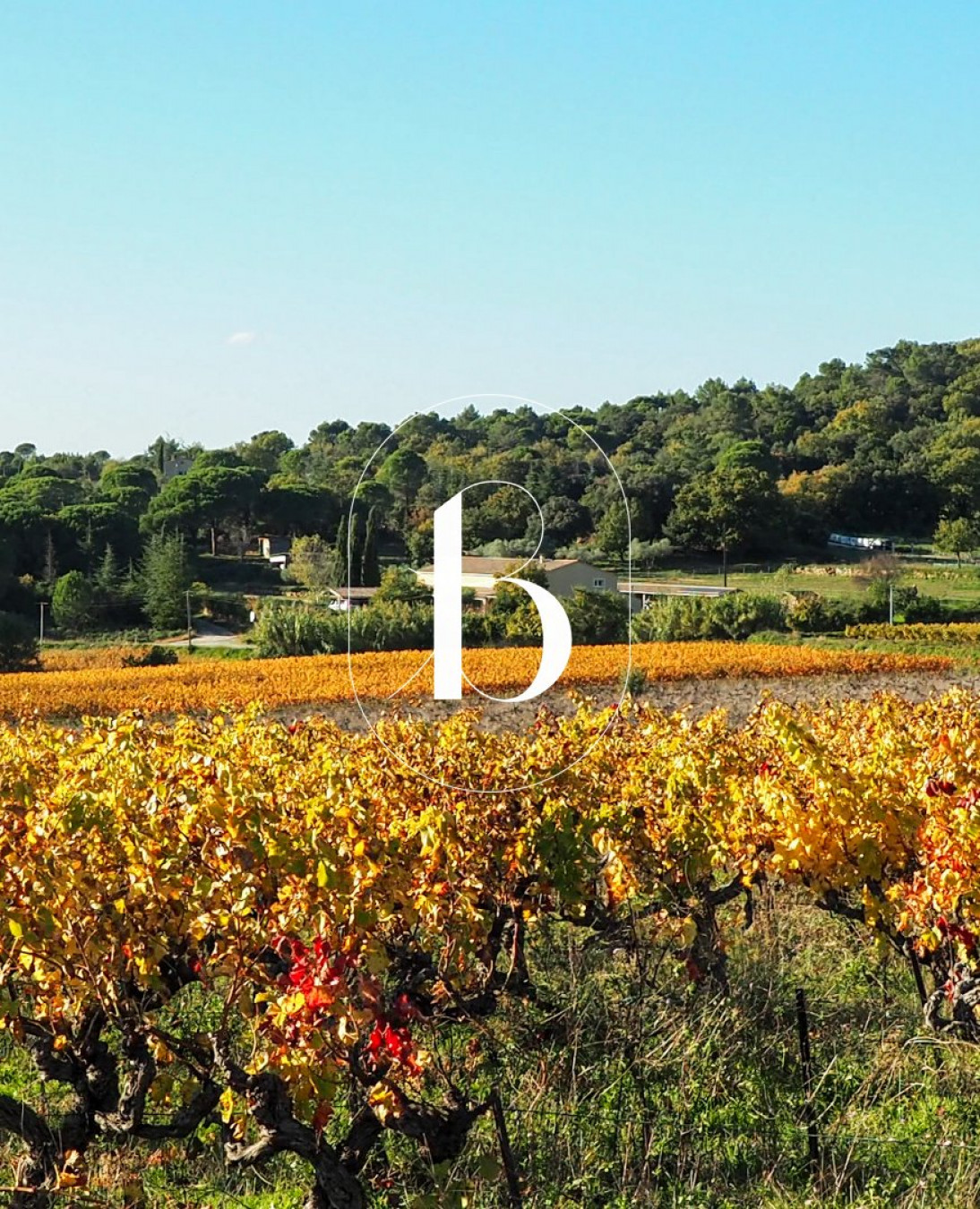 vente Villa Goudargues