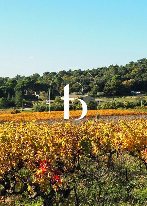 vente Villa Goudargues