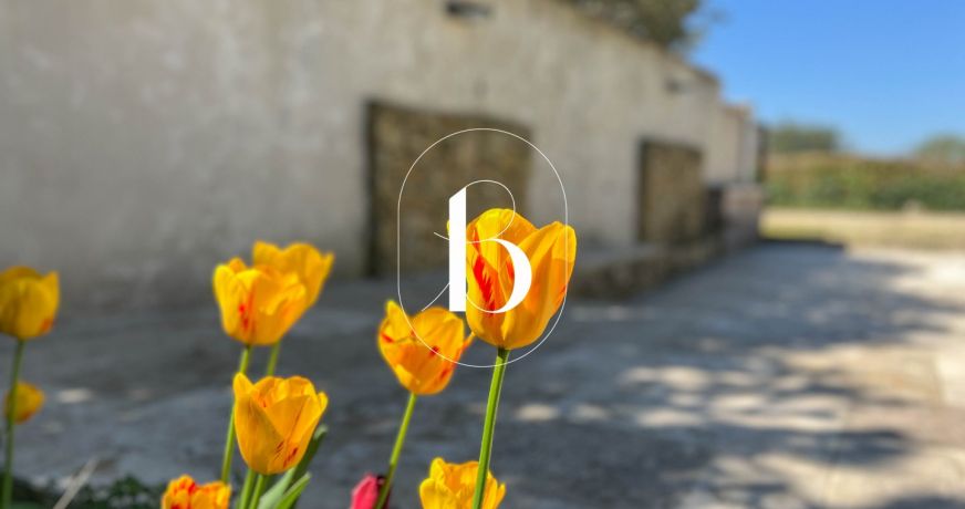 vente Villa Goudargues