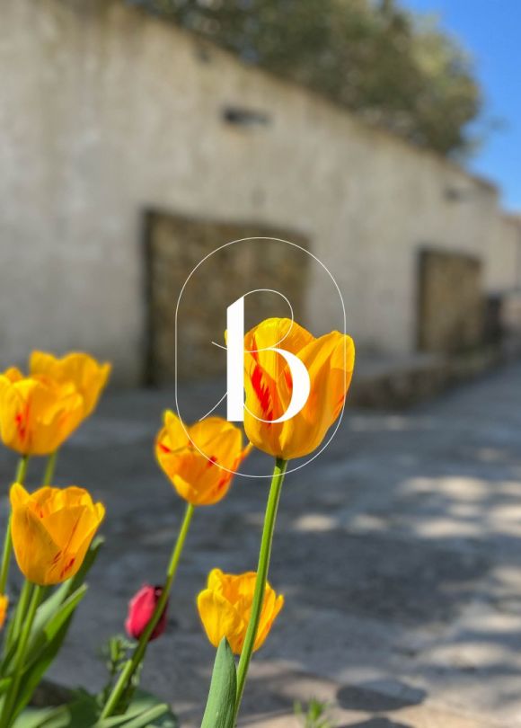 vente Villa Goudargues