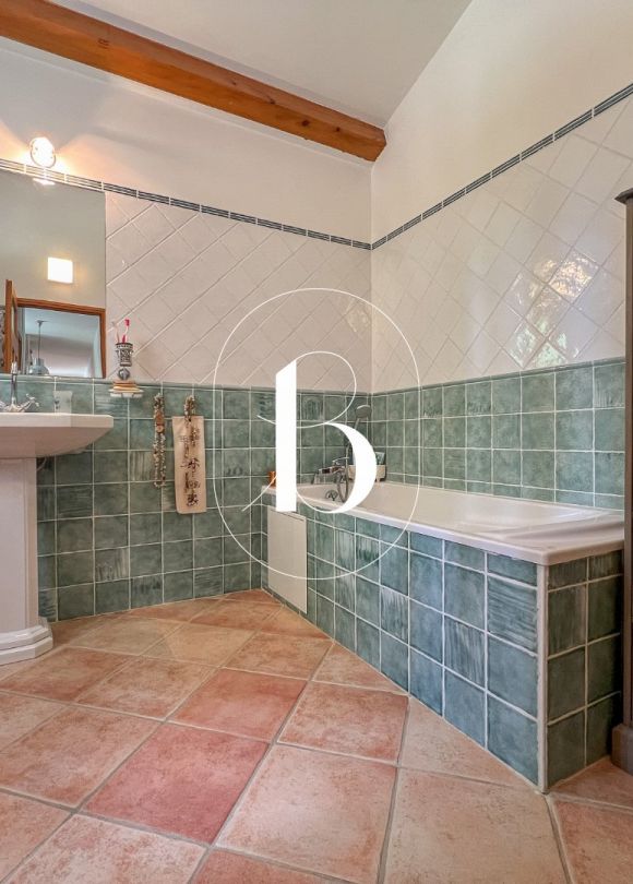 vente Mas Goudargues