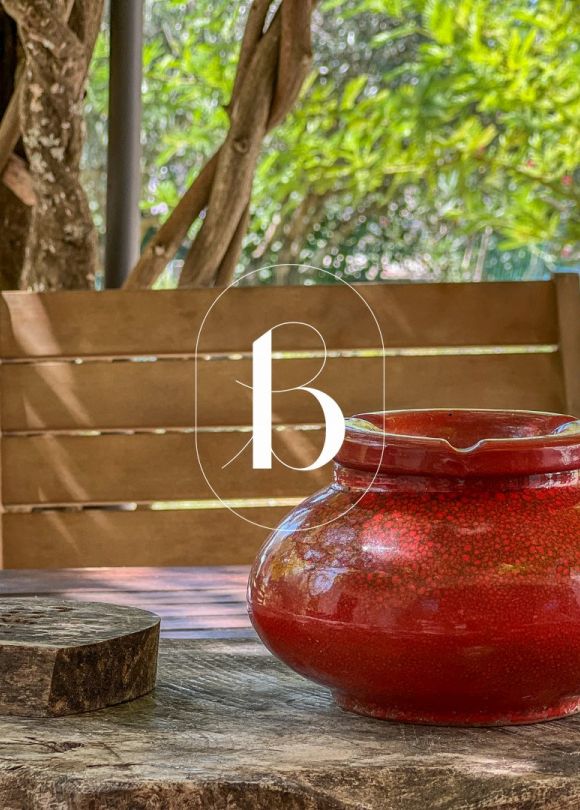 vente Mas Goudargues