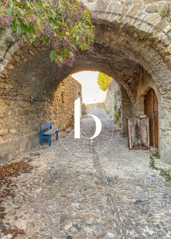 vente Maison de village Barjac