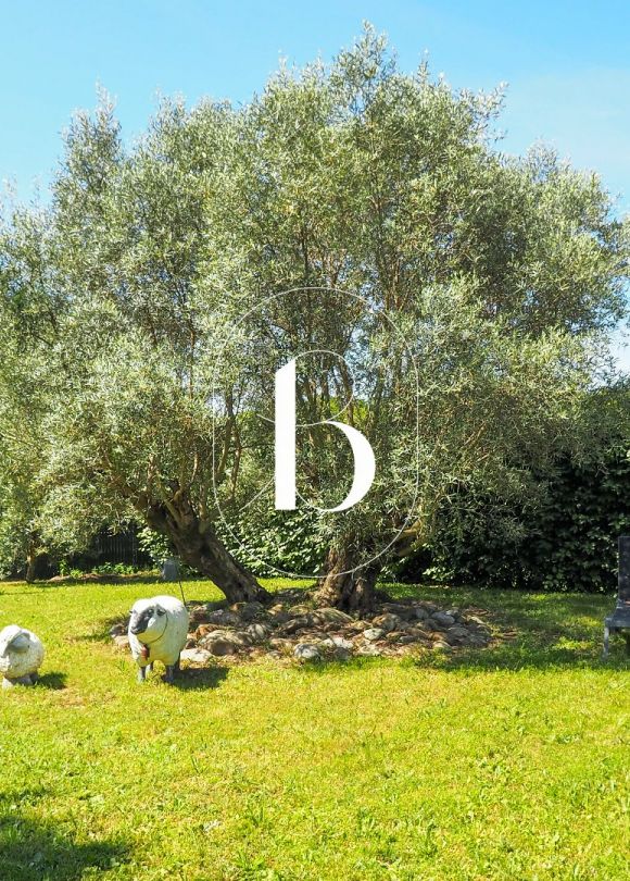 vente Maison contemporaine Uzes