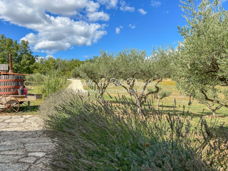 vente Mas Barjac - Photo 6