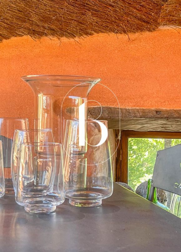 vente Maison de village Saint Laurent De Carnols