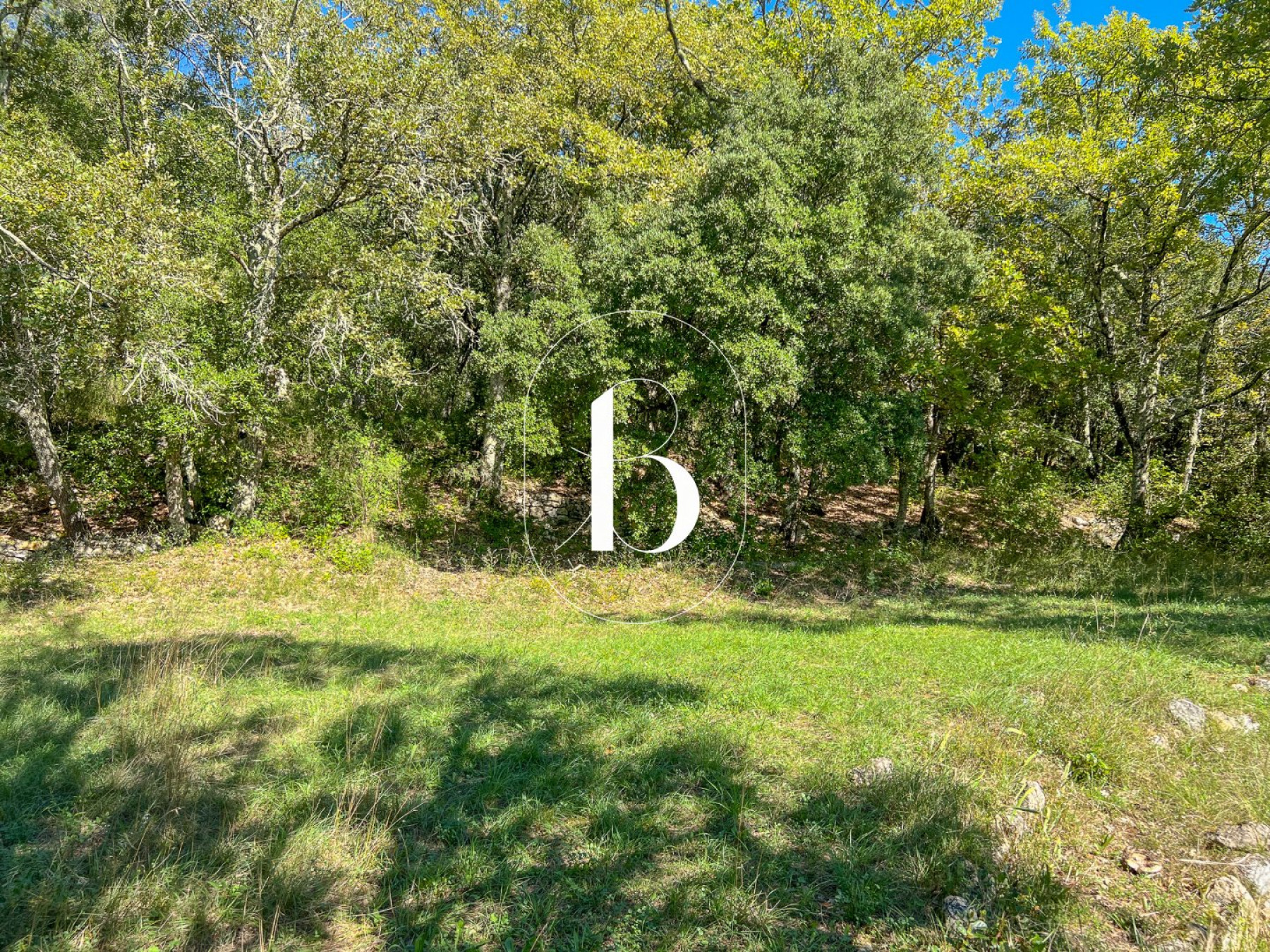 vente Villa Cornillon