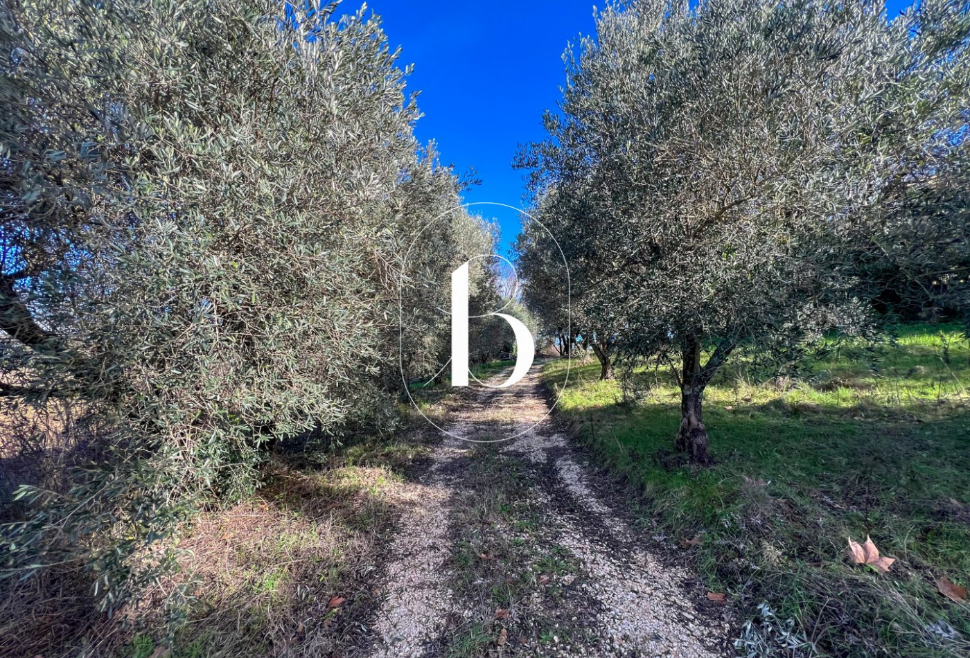 vente Mas Uzes - Photo 4