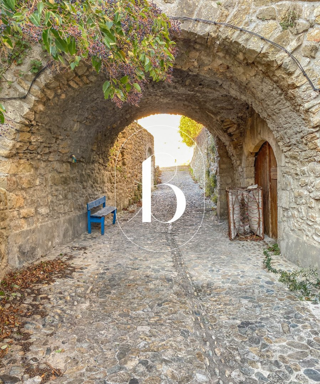 vente Maison de village Barjac