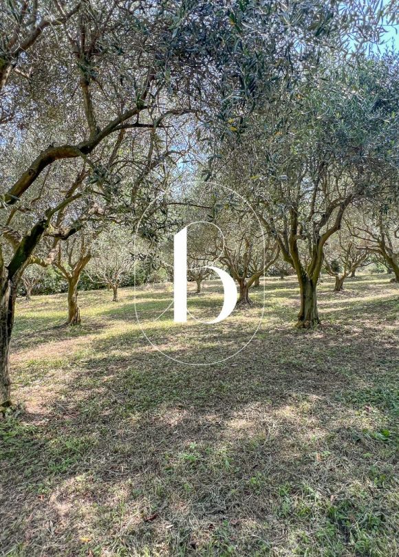 vente Mas Goudargues