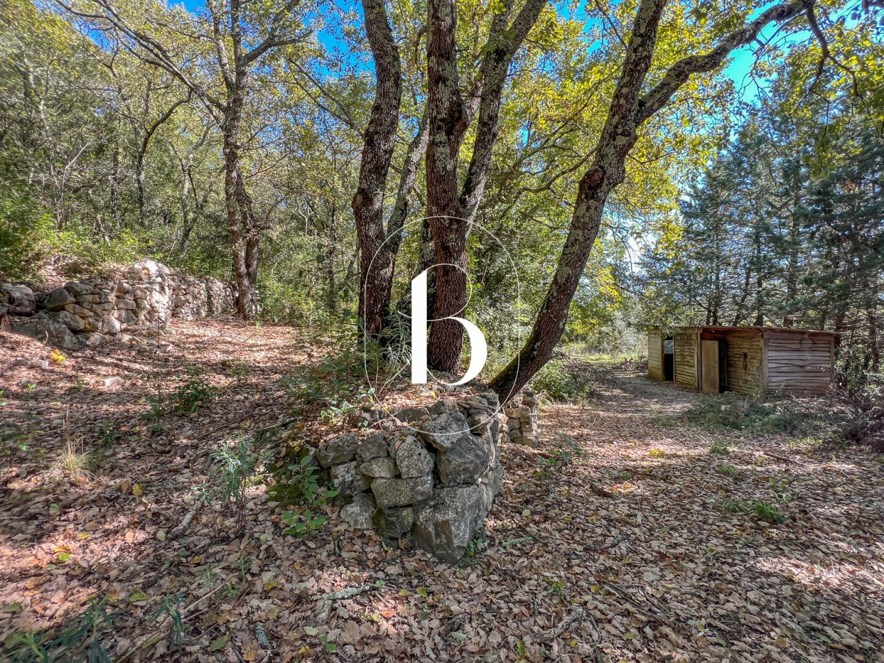 vente Villa Cornillon