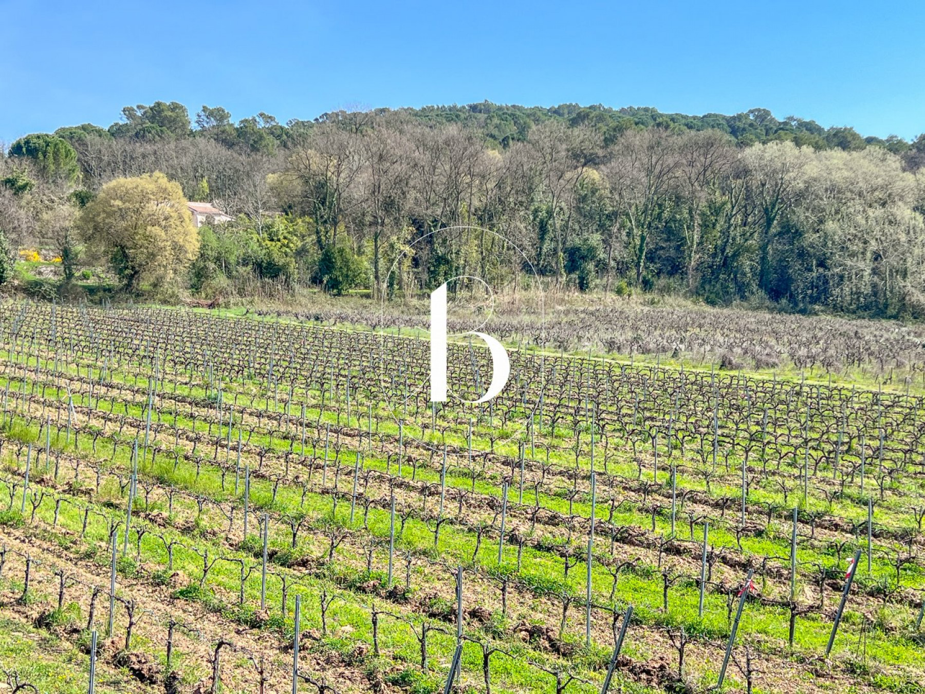 vente Mas Goudargues