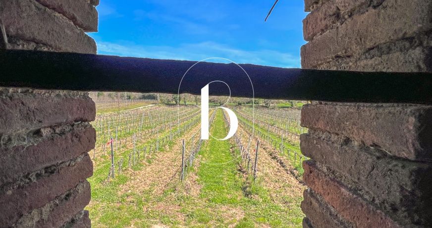 vente Mas Goudargues