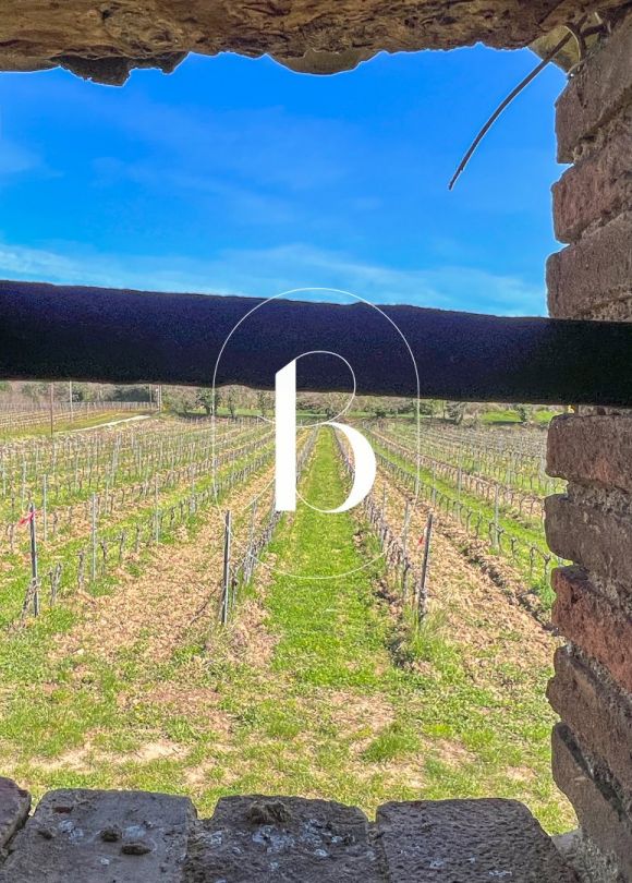 vente Mas Goudargues