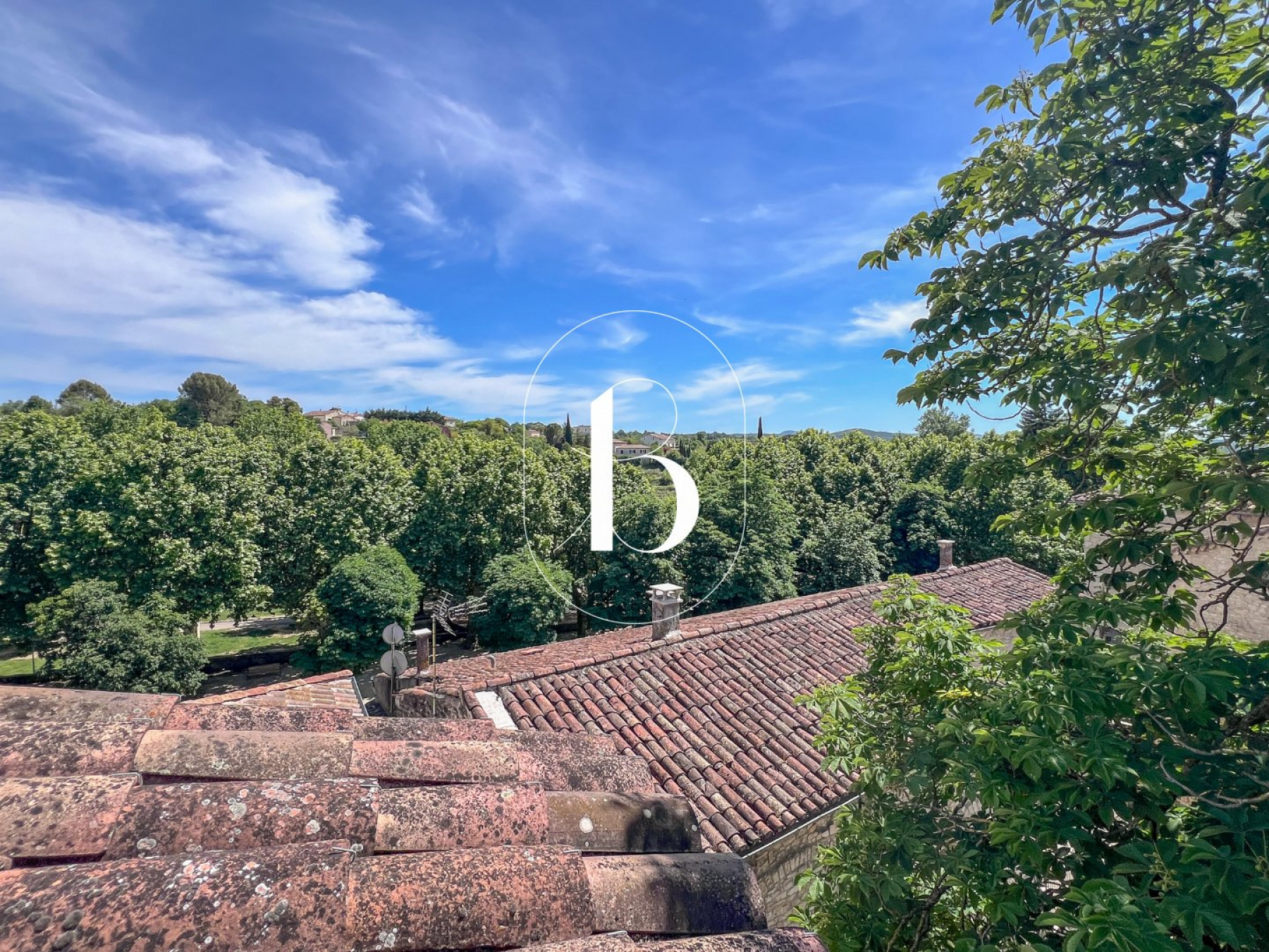 vente Maison de village Barjac